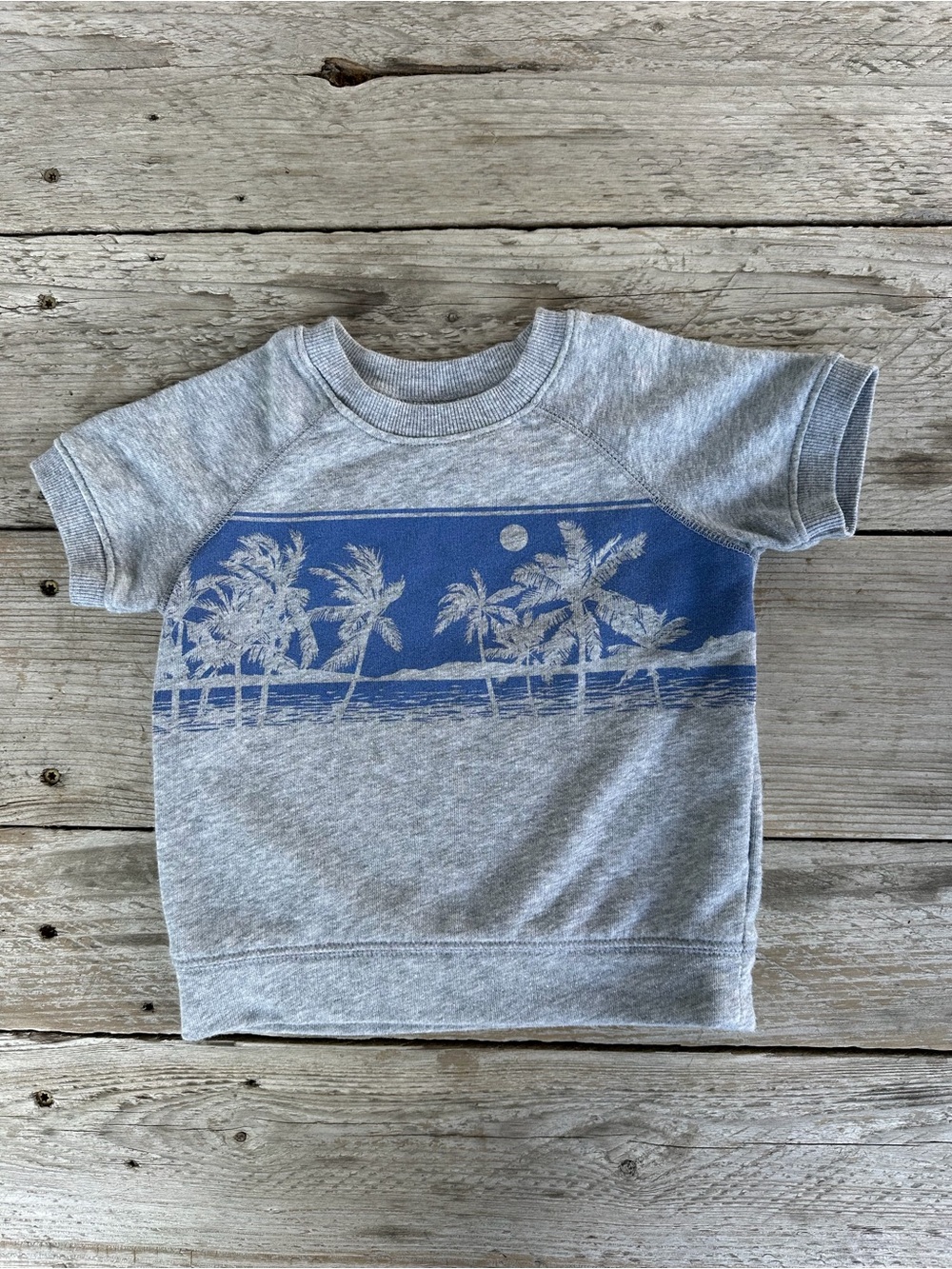Old Navy Grey Short-Sleeve Sweatshirt with Blue Palm Graphic